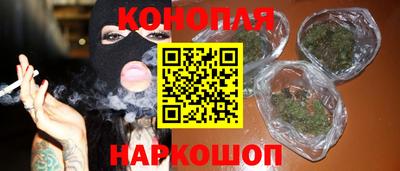 трава Кингисепп