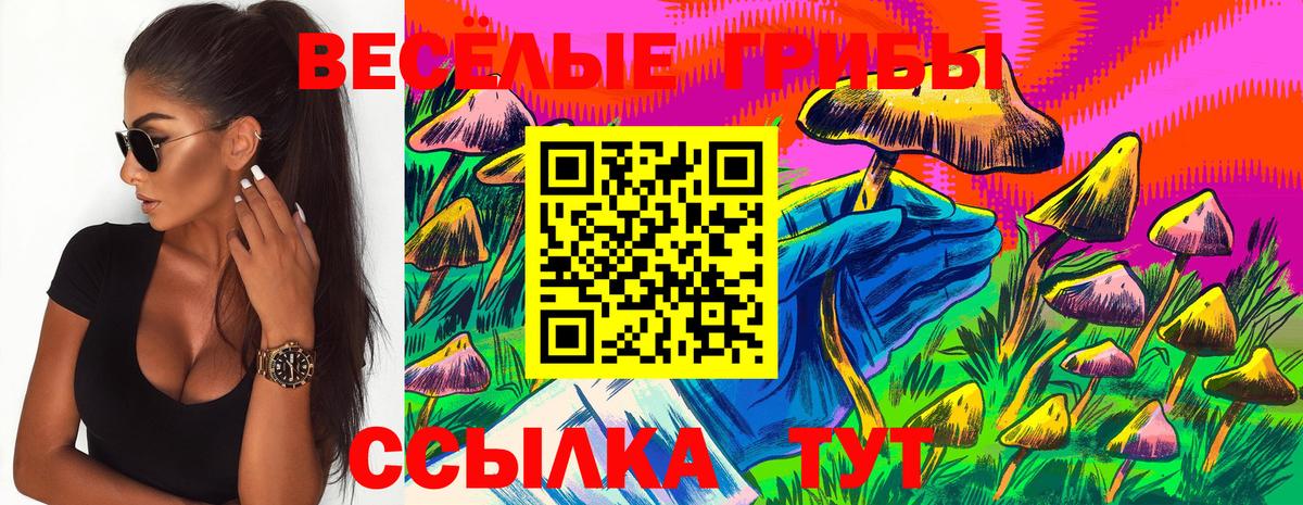 Галлюциногенные грибы ЛСД Кстово